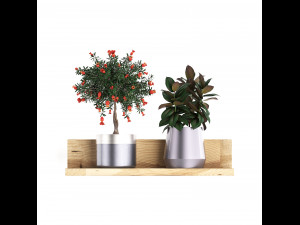 collection of exotic plants 409 3Dモデル