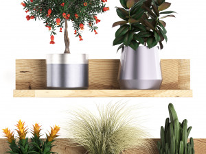 collection of exotic plants 409 3Dモデル