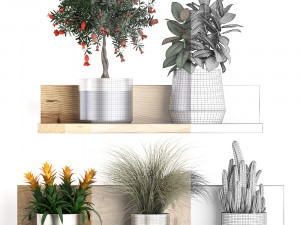 collection of exotic plants 409 3Dモデル