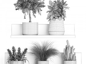collection of exotic plants 409 3Dモデル