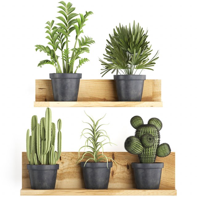 collection of exotic plants 410 Modèle 3D .c4d .max .obj .3ds .fbx .stl .blend 