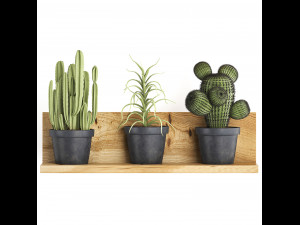 collection of exotic plants 410 Modèle 3D