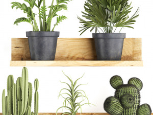 collection of exotic plants 410 Modèle 3D