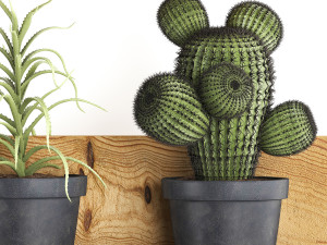 collection of exotic plants 410 Modèle 3D