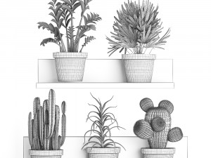 collection of exotic plants 410 Modèle 3D