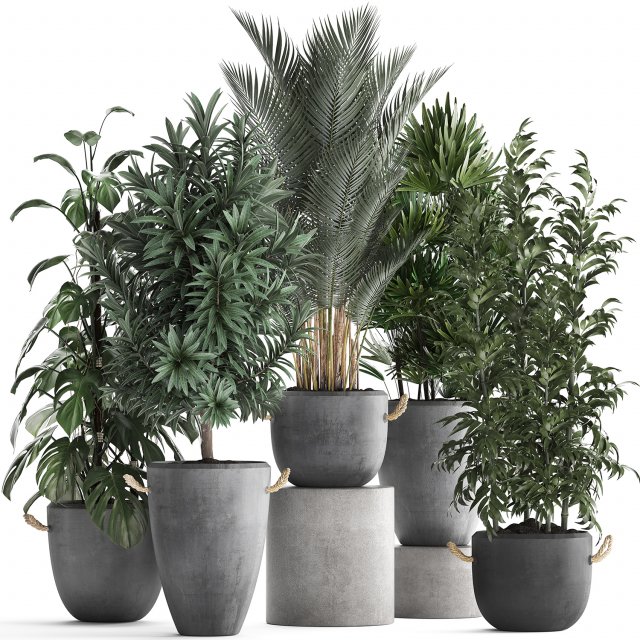 collection of exotic plants 413 Modelo 3D .c4d .max .obj .3ds .fbx .stl .blend 
