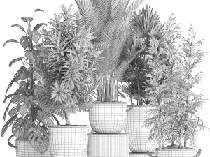 collection of exotic plants 413 3D Model
