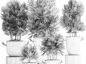 collection of exotic palm trees in concrete pots 414 3D Model