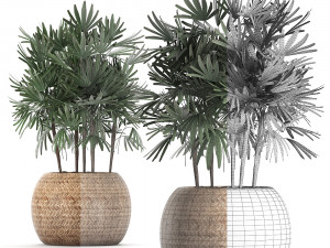 decorative palm tree in a pot 416 3D Модель
