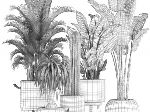 collection of exotic palm trees in concrete pots 417 3D Model