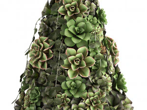 new year tree made of succulents 420 3D Model