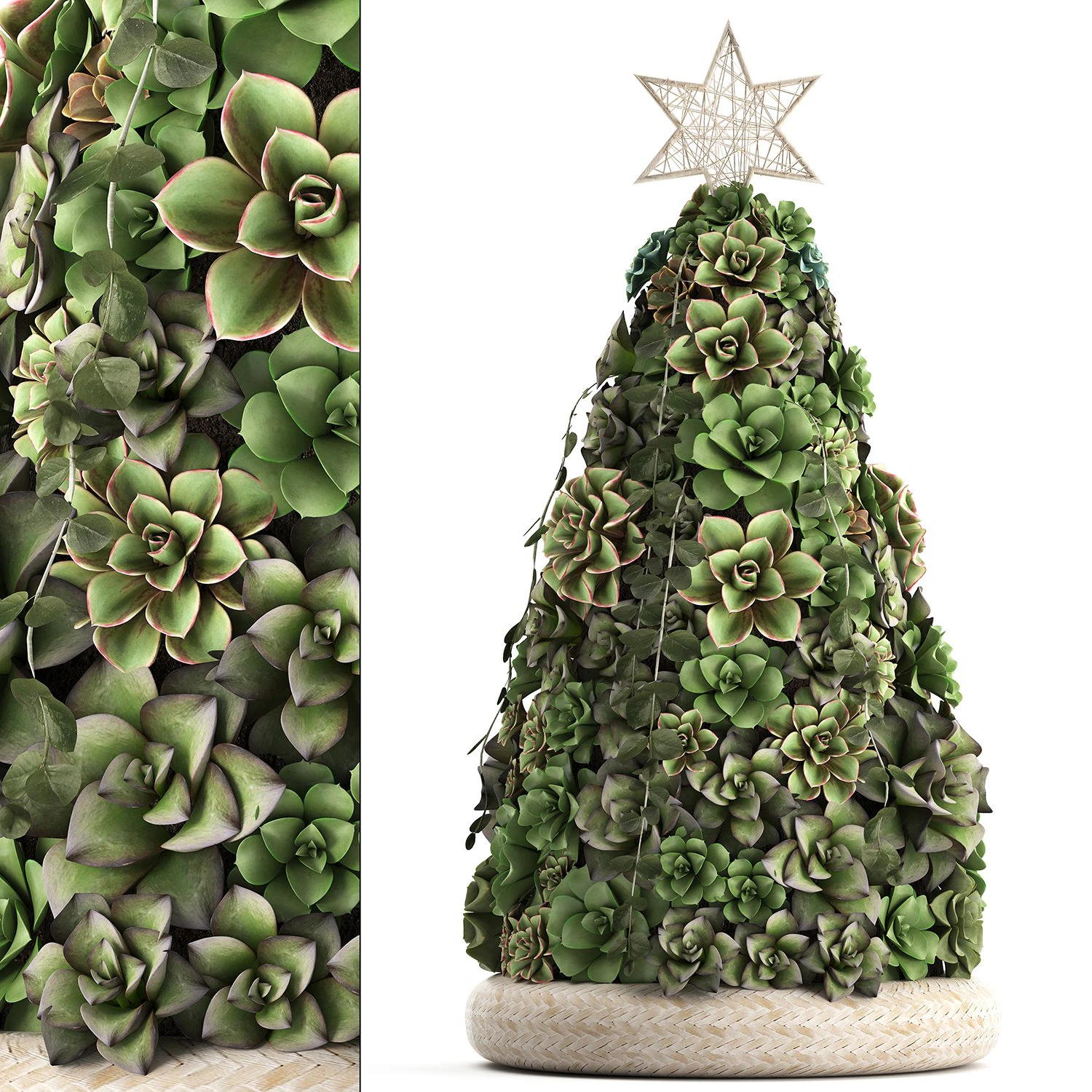 new year tree made of succulents 420 3D Model .c4d .max .obj .3ds .fbx .stl .blend