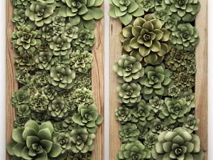 echeveria vertical garden 52 3D Model
