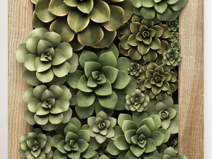 echeveria vertical garden 52 3D Model