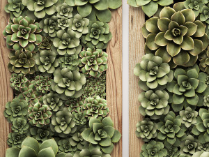 echeveria vertical garden 52 3D Модель
