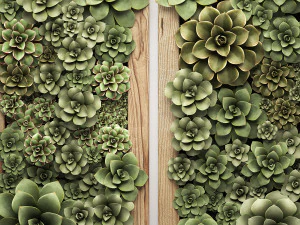 echeveria vertical garden 52 3D Model