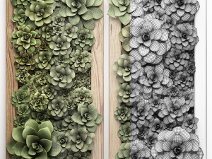 echeveria vertical garden 52 3D Модель