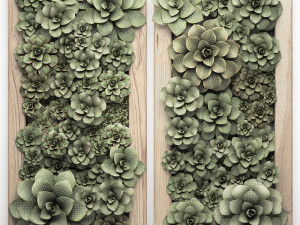 echeveria vertical garden 52 3D Модель
