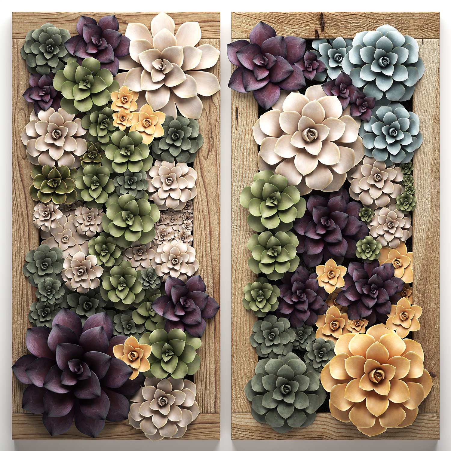 Echeveria Vertical Garden 53 3d Model In Small Plants 3dexport