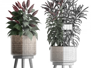 decorative plants for the kitchen 423 pepper Modèle 3D