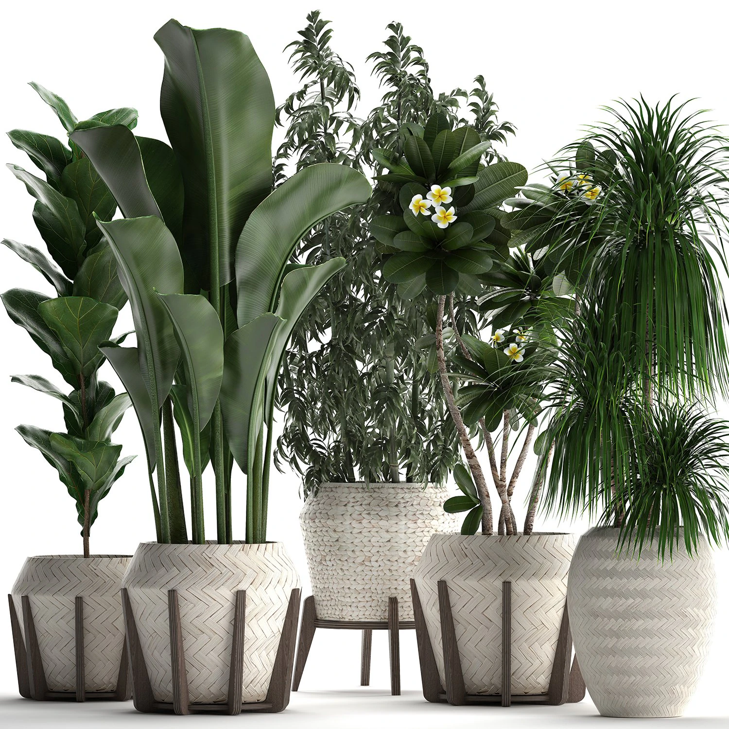 collection of exotic plants in white pots 425 3D Model .c4d .max .obj .3ds .fbx .stl .blend 