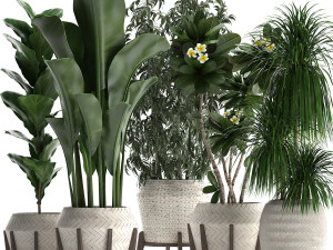collection of exotic plants in white pots 425 3D Model
