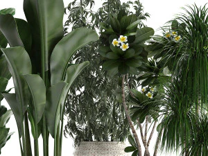 collection of exotic plants in white pots 425 3D Model