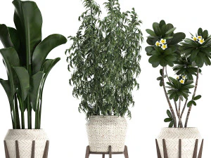 collection of exotic plants in white pots 425 3D Model
