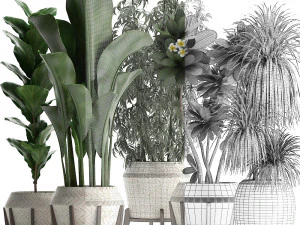 collection of exotic plants in white pots 425 3D Model