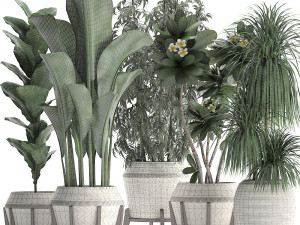 collection of exotic plants in white pots 425 3D मॉडल
