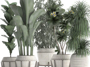 collection of exotic plants in white pots 425 3D Model