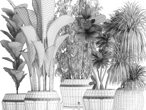 collection of exotic plants in white pots 425 3D मॉडल