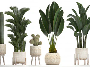 collection of exotic plants in white pots 426 3D Model
