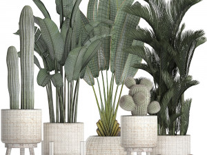 collection of exotic plants in white pots 426 3D 모델