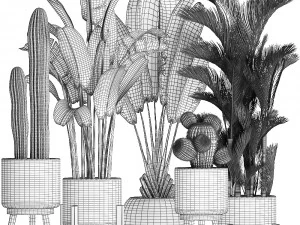 collection of exotic plants in white pots 426 3D Model