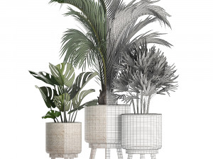 collection of exotic plants in white pots 427 3Dモデル