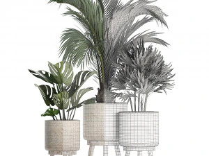 collection of exotic plants in white pots 427 3D Model