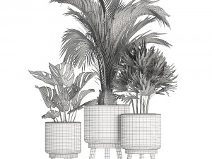 collection of exotic plants in white pots 427 3Dモデル
