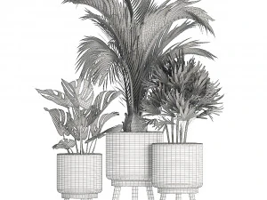 collection of exotic plants in white pots 427 3D Model