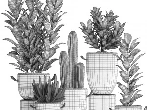 collection of exotic plants croton 430 3D Model