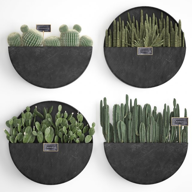 cactus set wall decor vertical garden 55 Modelo 3D .c4d .max .obj .3ds .fbx .stl .blend 