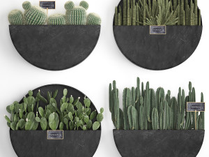cactus set wall decor vertical garden 55 3D मॉडल