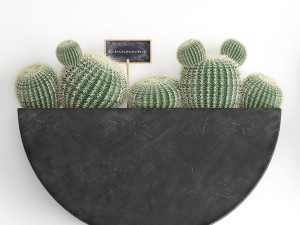 cactus set wall decor vertical garden 55 Modelo 3D