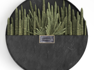 cactus set wall decor vertical garden 55 Modelo 3D