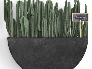 cactus set wall decor vertical garden 55 Modelo 3D