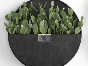 cactus set wall decor vertical garden 55 Modelo 3D