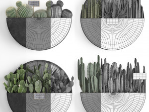 cactus set wall decor vertical garden 55 Modelo 3D