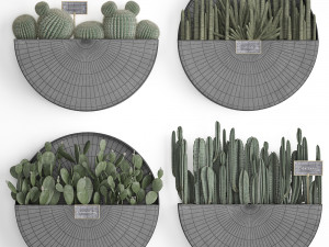 cactus set wall decor vertical garden 55 Modelo 3D