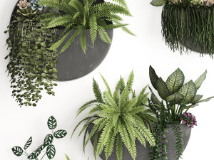 green wall decor vertical garden 56 Model 3D