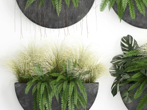 green wall decor vertical garden 57 3D Model